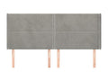 Gray Velvet Bed, 163 x 16 x 118 cm